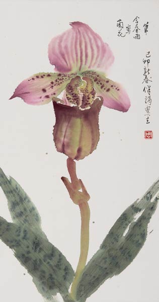 Slipper Orchid - 1999