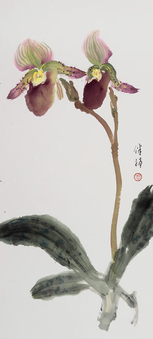 Slipper Orchids - 1999