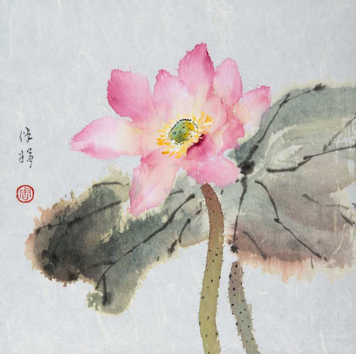 Lotus - 2007